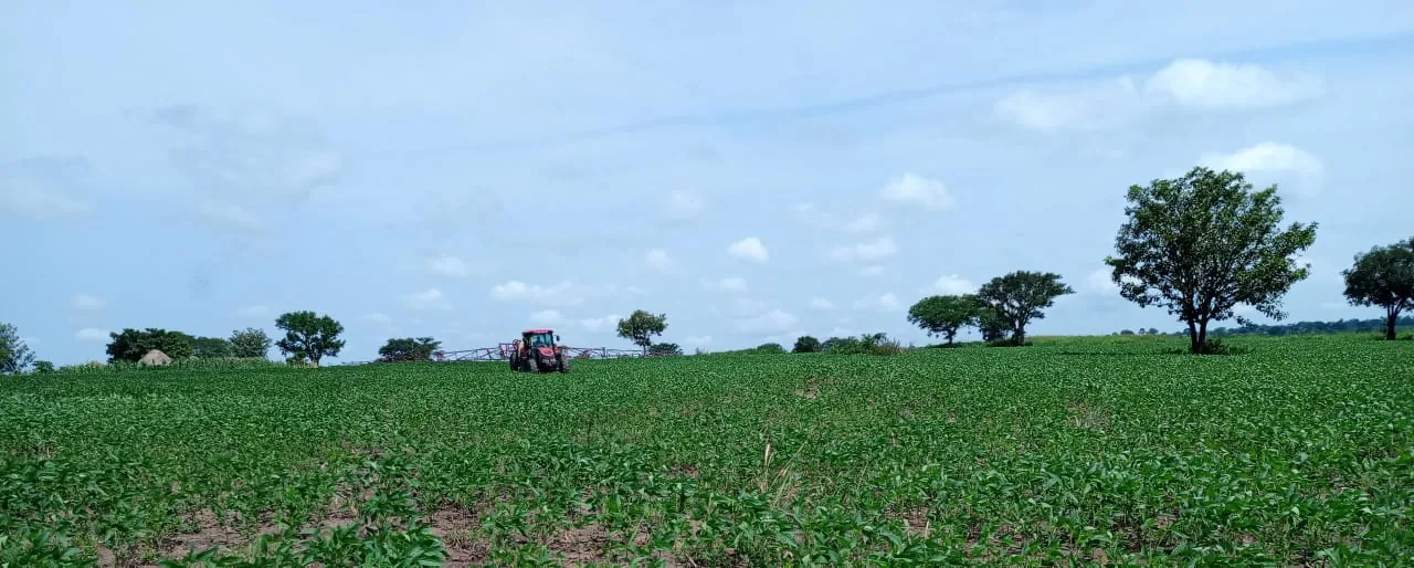A wide panorama of a sprayer working a green crop field under an open sky at Normah Agro Farm.